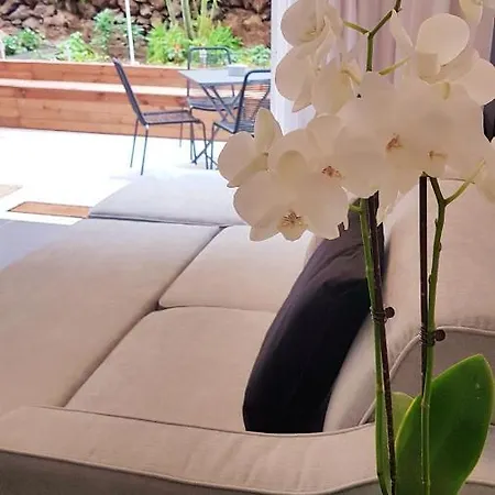 Apartament N&c Suites Puerto De La Cruz